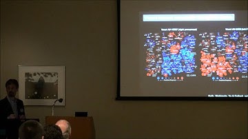 Modeling and Decoding the Humain Brain