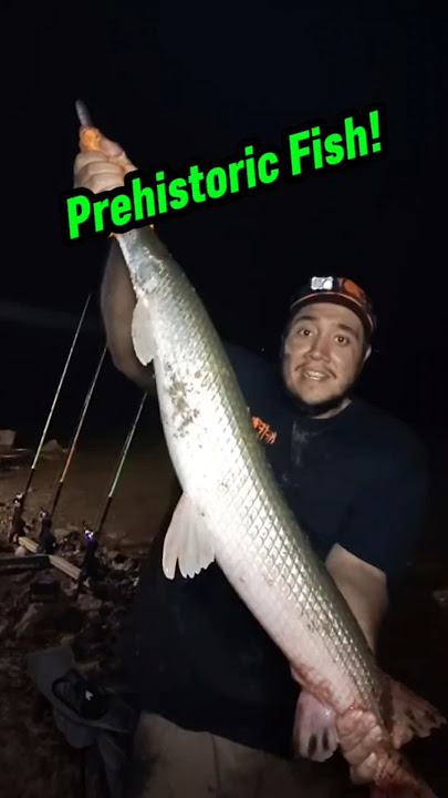 First Ever Gar! 🎣 #fishing #shorts #fishinglife #fishingislife #fishingtips #fyp #fy #fyy #fypシ゚
