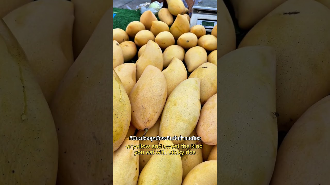 Sweet vs Sour Mango… Which Team Are You? 🥭 | 10 Seconds in Thailand