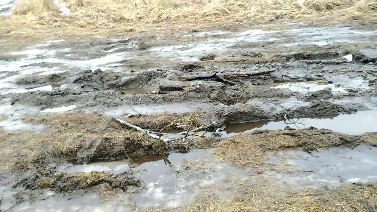 Нет это звонко тонко в ручье