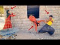 تولد