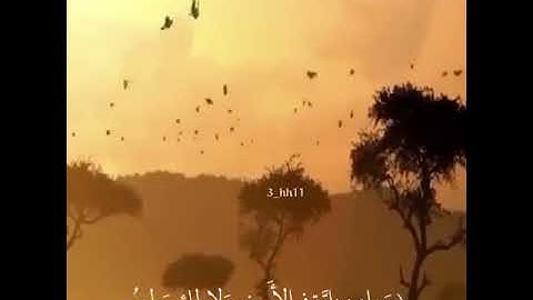 احمد العجمي 🎧  حالات واتس اب  قرآن كريم ❤❤ part1 17