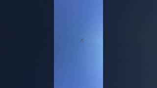IMG 5002