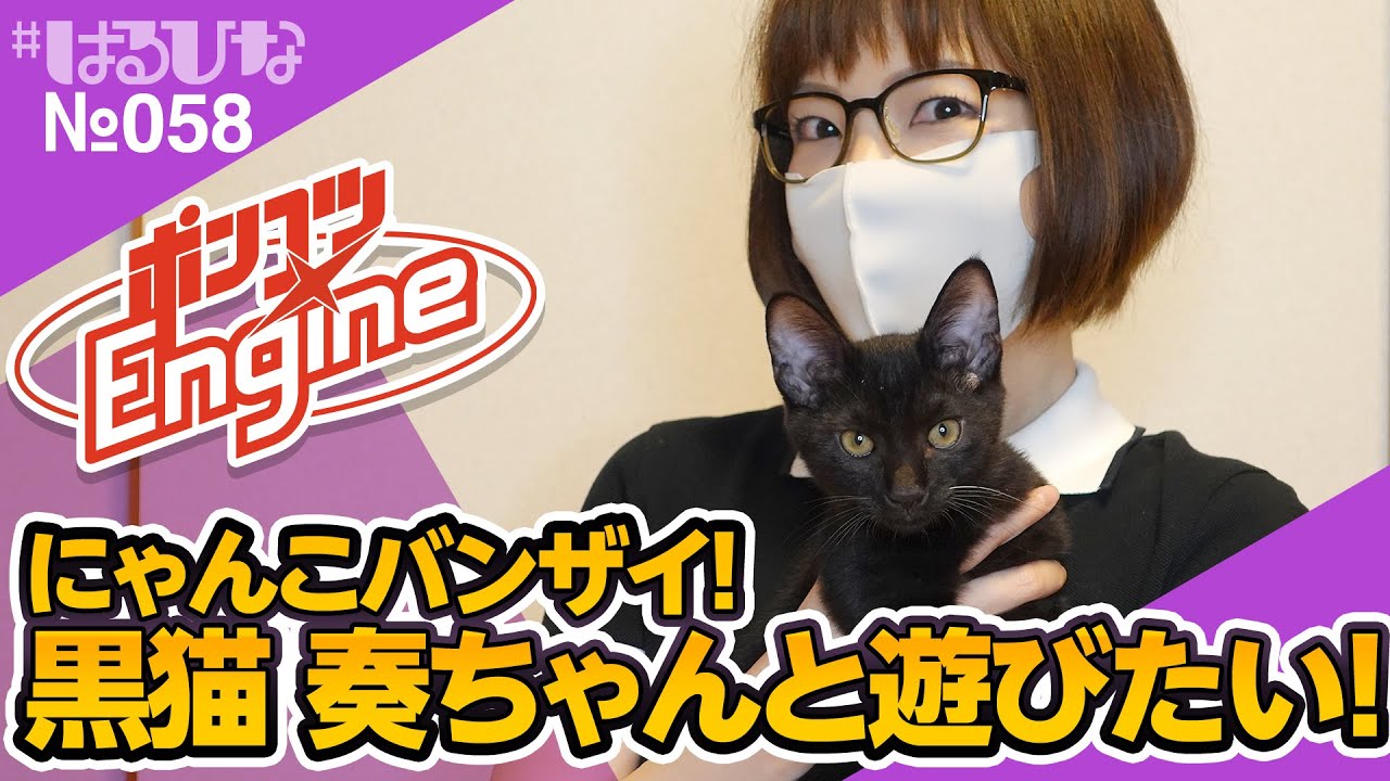 Haruhina #58] Kitty! I want to play with Kana-chan, the black cat