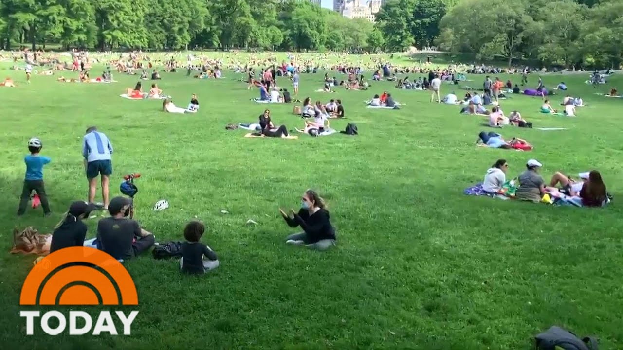 ‘Very, Very Few Infections Happen Outdoors,’ Says Dr. Ashish Jha | TODAY