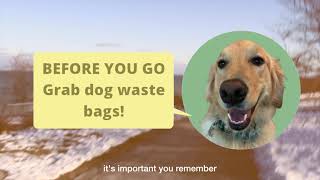 Village Of Shorewood - How To Be A Good Neighbor - Pick Up Dog Waste