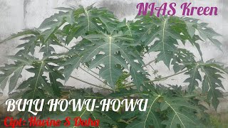 BULU HOWU-HOWU Cipt/ Voc: Havino S. Duha