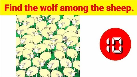 EYE PUZZLES || Find the hidden OBJECT game  || Photo Puzzles|| Eye Test