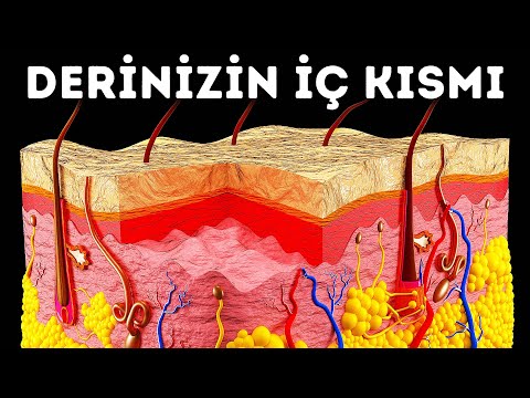 Derinizin Altına Bir Yolculuk