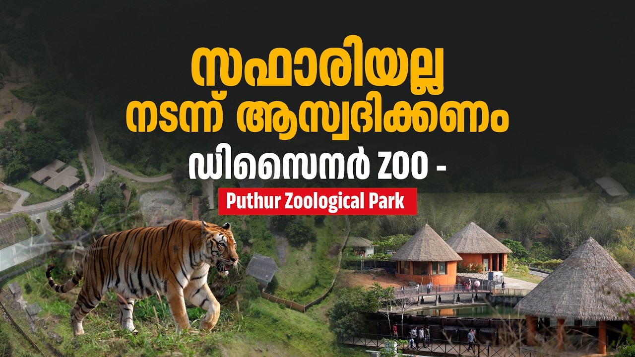 അടച്ചിട്ട കൂടുകളില്ല, തുറന്ന സ്ഥലത്ത് മൃഗങ്ങളെ കാണാം | Puthur Zoo