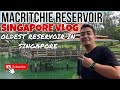 Singapore vlog  macritchie reservoir tour  the oldest reservoir in singapore