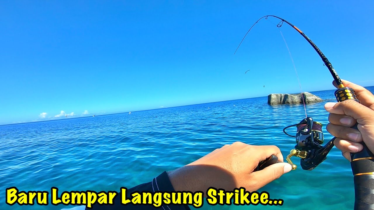 Test Daido Pompano 1-3lb Casting Di Karang Dangkal , Lengkungannya MANTULLL ..!!!!