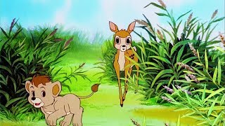 Simba and bimbo are wandering through the jungle when lion cub
suddenly falls into a trap set by poachers. in meantime, hyena, who
has been order...