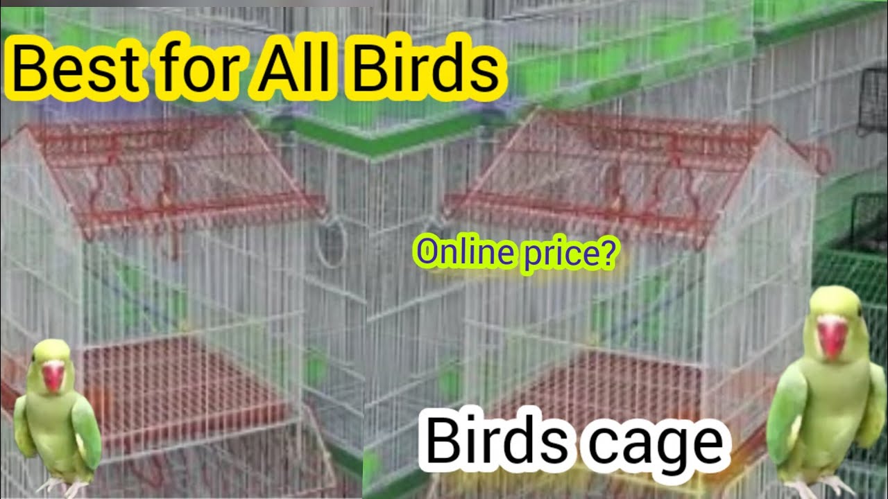 Best for All Birds Daraz online price Birds Cage 2023