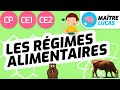 Les rgimes alimentaires ce1  cp  ce2  cycle 2  questionner le monde  le monde du vivant