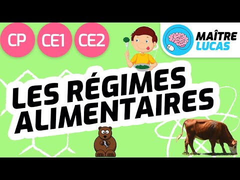 Vidéo: Dans une chaîne alimentaire carnivore ?