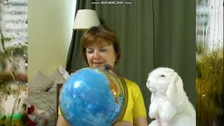 Видео Познавательное развитие (автор: ОнлайнДетСад)