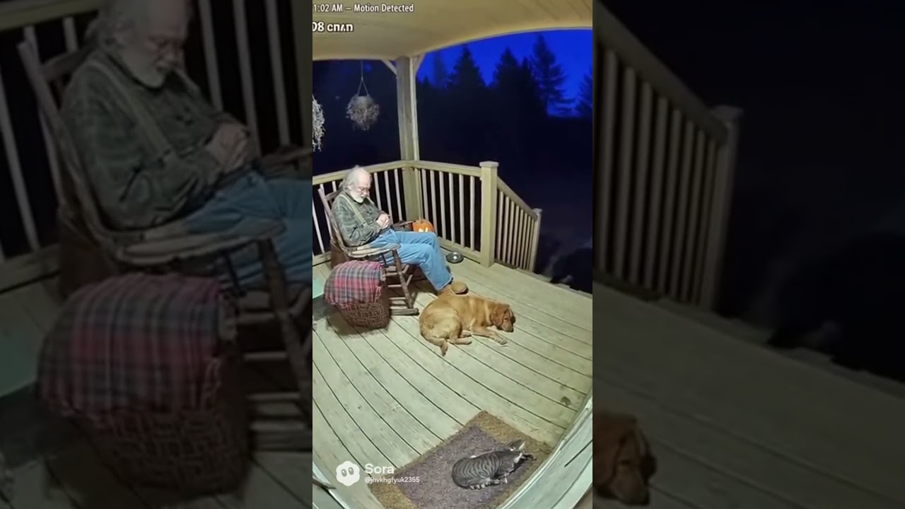 Caught on Porch Cam: Elder vs. Midnight Bear!  