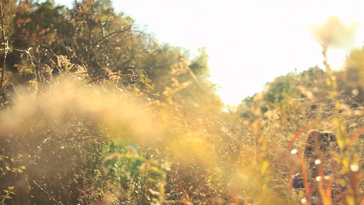 The Miseducation of Cameron Post by emily m. danforth