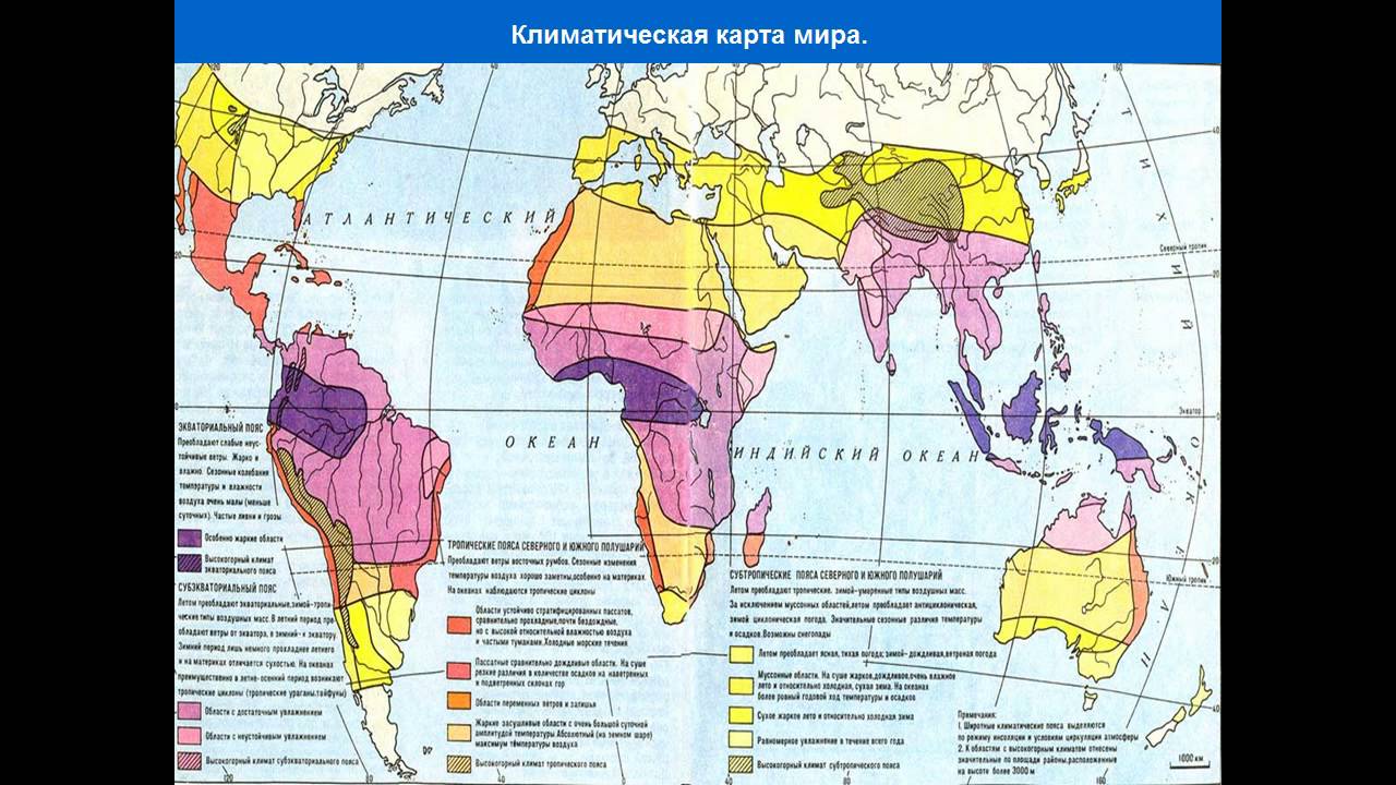 Климатическая Карта Мира Фото