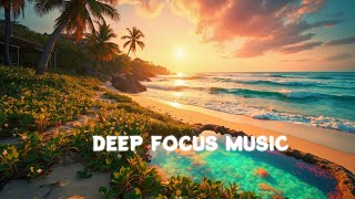 Deep Focus Music for Mental Clarity & Calm Meditation | Owl's Focus Notes