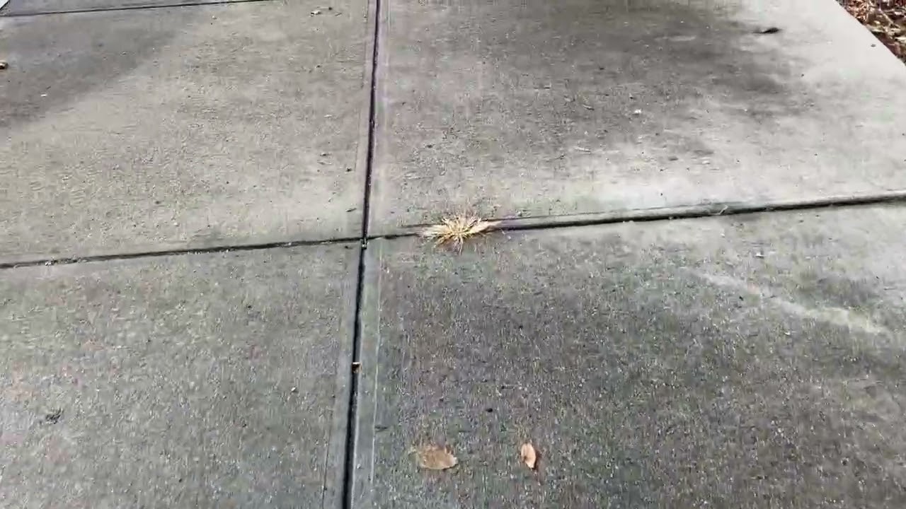 Cutting through pain by Soul Not The Body