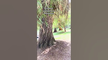 No sweat, just success! Repurpose makes posting everywhere a breeze