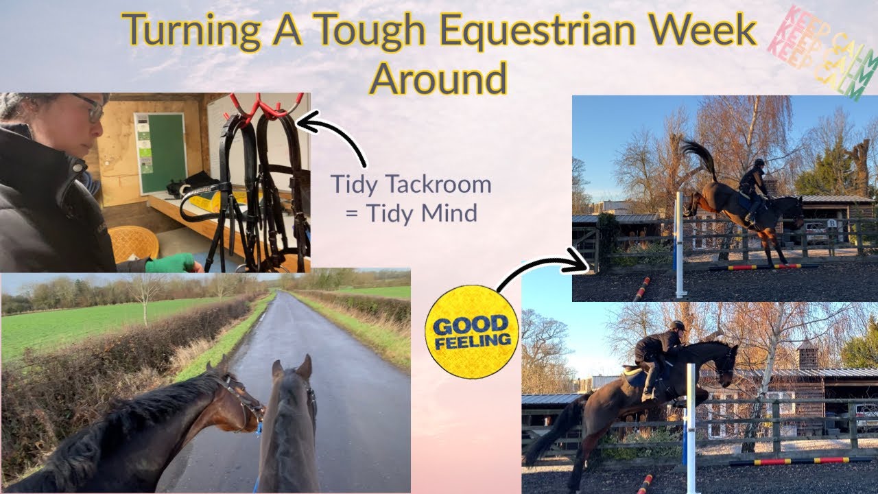 Equestrian Life Can Be Hard Sometimes! | Tackroom Tidy = Happy Rider ...