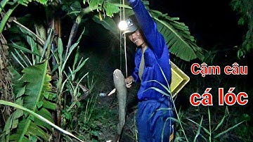 Chuyển Nghề Cậm Câu Cá Lóc Đêm Với Nồi Cháo Cá Hành Vị Miền Tây