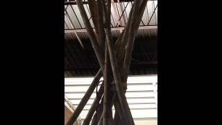 Sioux Buffalo Hide Tipi assembly