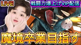 【スマブラsp  VIP連勝】休日のラストにさらに追い込んで実力系配信者がガチで魔境卒業しにいく配信　〜114日目〜【初見さん大歓迎】#スマブラsp  　#vip配信 　#キングクルール 　#縦型配信