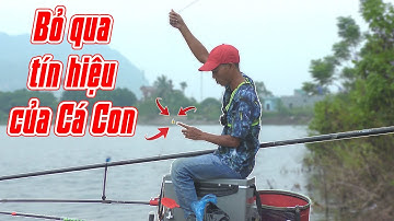 91. CÂU CÁ TỰ NHIÊN : Trắm Cỏ đầy ổ nhưng "C.H.Ả.N.H  C.H.Ó" không thèm câu...