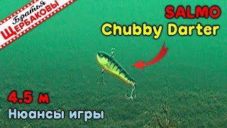 Секреты Анимации Chubby Darter От Salmo. Просто Фантастическая Игра! Подводные Съемки На 4.5 М