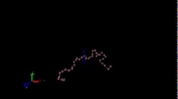 Visualization of unbiased polymer translocation through a nanopore