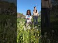 Happy children and dandelion flowers #garden #outdoors #cute #funny #children