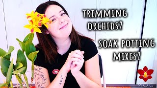 Can Orchids grow in rocks? How to trim Orchids? - Q&A October 2025