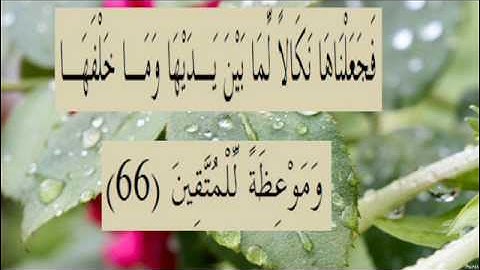 القران الكريم سورة البقرة الاية 66