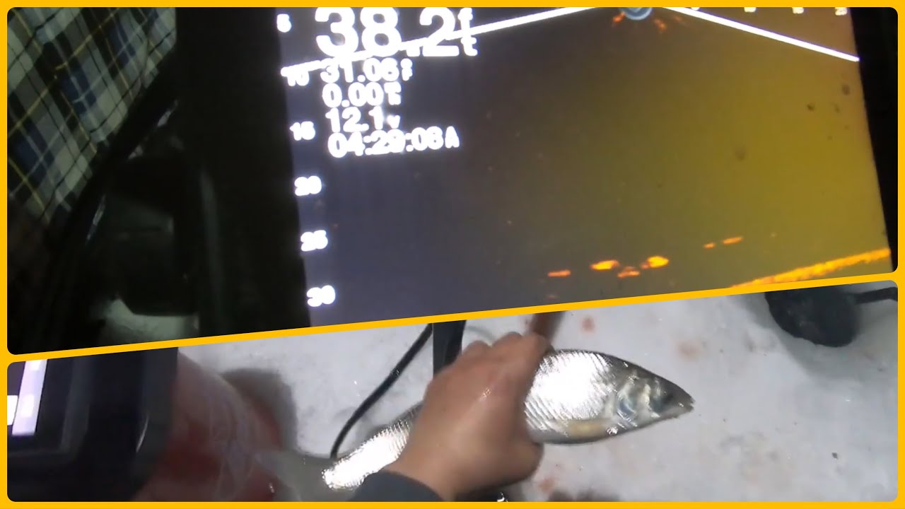 After Dark Tullibee Fishing!! Mille Lacs YouTube