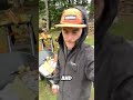 Best place on earth to ‘forage’ mushrooms?