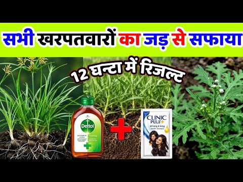 अब खरपतवार होगी जङ से खत्म | kharpatwar nashak dawa ka naam | kharpatwar ko jad se kaise khatam kare