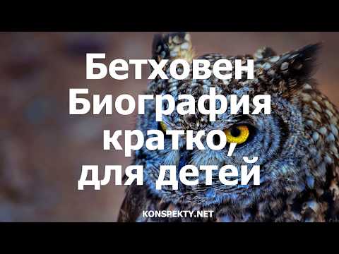 Бетховен – биография кратко, для детей