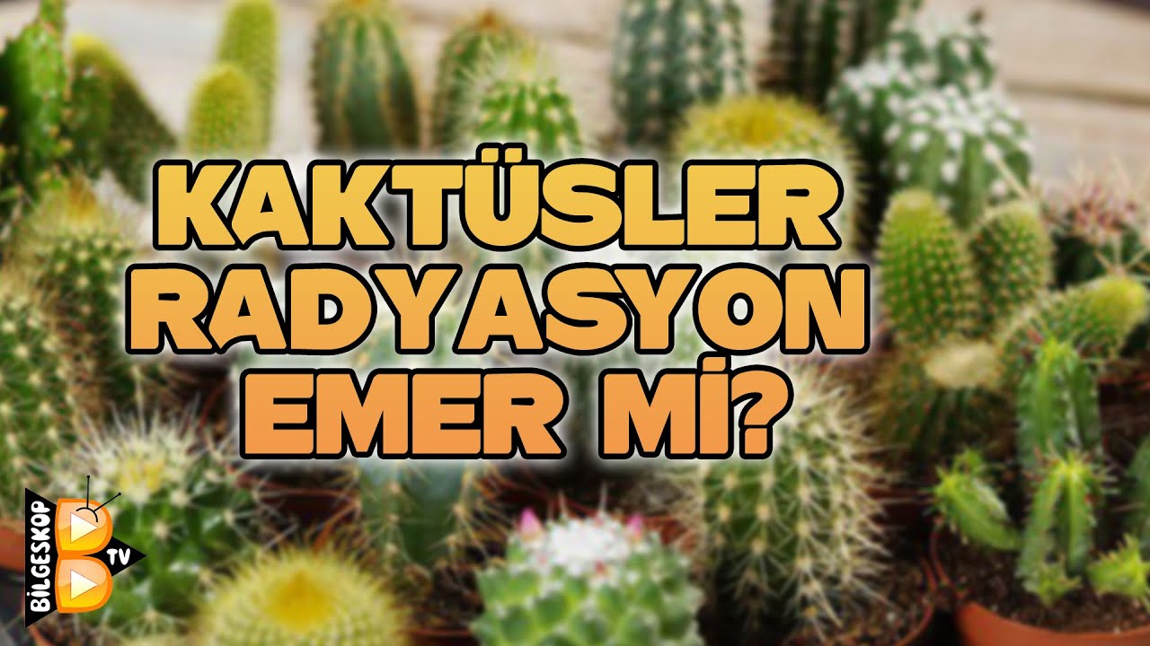 KAKTSLER RADYASYON EMER M?