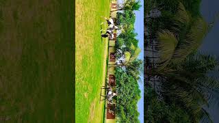 dev international school #bollywood #edifyworldschooldehradun #horseriding #devopsschool #dance