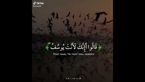 حالات واتس اب سورة يوسف اجمل صوت بالوطن العربي