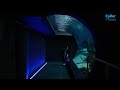 These divers keep Texas State Aquarium exhibits in top shape