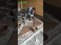Как сделать мраморный пол