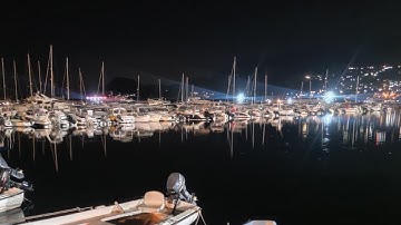 Python Bot – Running in Real Time Right Now