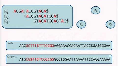 Efficient construction of an assembly string graph using the FM-index - Jared Simpson - ISMB 2010