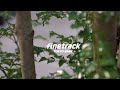 Finetrack tokyo base 