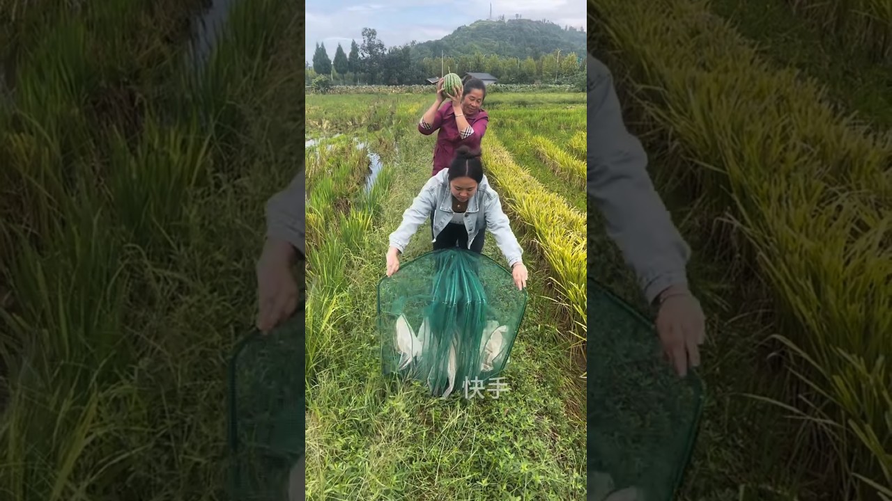 "Mastering the Art of Fishing 🐟- Pro Tips & Big Catches!"😯🔥